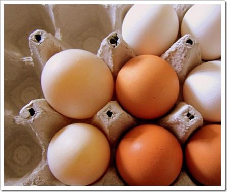 tipos-trazabilidad-alimentaria