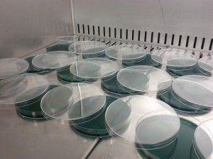 Acreditación laboratorios