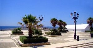 Tóxicos en alimentos