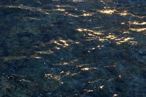 "Q" de Calidad Turística