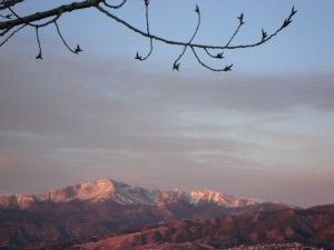 Sistemas de Gestión