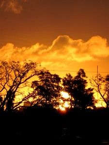 Sistema de Gestión de la Calidad