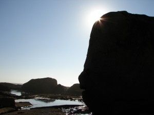 Seguridad Alimentaria