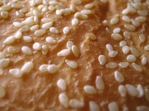 Seguridad Alimentaria