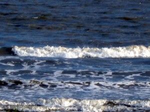 Sistema de Gestión Medioambiental