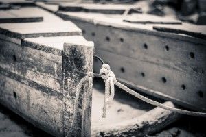 Trazabilidad Alimentaria