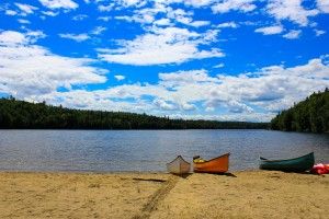 Seguridad Alimentaria
