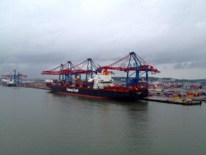 Seguridad Alimentaria