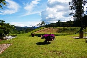 Sistema de Gestión de la Calidad